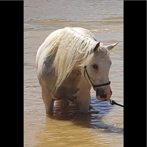 Meet your Posher, Donna